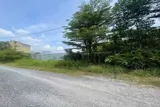 Siêu Phẩm Giá Rẻ Nhất Bình Mỹ – 3.800M2 (3.000M2 Thổ Cư) – Cách Vành Đai 3 Chỉ 50M – Chỉ 28 Tỷ - Ảnh 3
