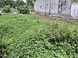 ⭐️ Đất HXT 245m2, Đường Thông - Vườn Lài, Quận 12 - Vị trí đắc địa, tiềm năng lớn - Ảnh 2