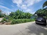 Đất Nền Giá Tốt Quận Hóc Môn - 137m2, Nở Hậu, Pháp Lý Rõ - Đầu Tư Sinh Lời - Ảnh 2