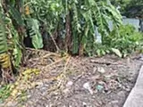 Đất Nền Giá Tốt Quận Hóc Môn - 137m2, Nở Hậu, Pháp Lý Rõ - Đầu Tư Sinh Lời - Ảnh 1