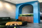 Căn Vip – Nhà 3 Tầng, Thoáng Mát, Hiện Đại – Cẩm Lệ – Đà Nẵng. Vị Trí Đắc Địa – Giá Tốt! - ảnh 5