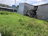 Đất Nền An Phú Đông Quận 12: Lô Góc 200m2, SHR, Giá 9.5 Tỷ - Ảnh 4