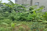 48M2 Đất Đấu Giá Ao Ng òi Xã Hoài Đức - Ảnh 1