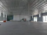 Cho Thuê Kho Xưởng 730m² Sơn Đồng, Hoài Đức - Giá Tốt, Pháp Lý Chuẩn - Ảnh 3