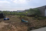Đất Hxm 277M2, Vuông – Bùi Công Trừng Hm - Ảnh 2