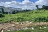 Chủ Gửi Bán Gấp Lô Đất Mặt Tiền Đường Nhựa Thị Xã Tân Uyên Tỉnh Bình Dương - Ảnh 2