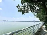 Bán Đất Lạc Long Quân Xuân La - Vị Trí Đắc Địa, Kinh Doanh Sinh Lời - Ảnh 2