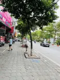 Bán Nhà Mặt Phố Cầu Giấy - 61m2 - 5 Tầng - 36.3 Tỷ - Nguyễn Phong Sắc - Ảnh 4
