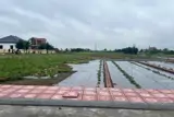 Bán Đất 100M² Tại Thị Trấn Quất Lâm, Huyện Giao Thủy Giá 1.55 Tỷ – Gần Biển, Sổ Đỏ Riêng – Nguyễn - Ảnh 4