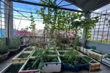 Bán Nhanh Nhà 4 Tầng – Trần Duy Chiến – Cách Biển 200M – Chỉ 10,5 Tỷ - ảnh 3