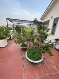 Bán Gấp Biệt Thự 360m2 Sadeco Phước Kiểng, Giá Tốt - Pháp Lý Minh Bạch - Ảnh 3