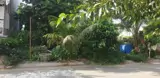 Bán Lô Đất Nền Nhà Phố Khu Tam Đa, Trường Thạnh, Thủ Đức - Vị Trí Đắc Địa, Sổ Hồng Riêng - Ảnh 2