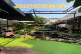 Sang Nhượng Quán Cafe View Đẹp Tại Đường Hồ Sĩ Tân, Sơn Trà, Đà Nẵng - ảnh 1