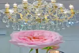 Quận Phú Nhuận ! Sang Lại Mb Shop Decor Mới Đẹp – Giá Rẻ, Tel : 0909782578 ( Chính Chủ ) - ảnh 5