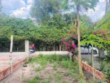 Bán Đất Củ Chi Mặt Tiền Ba Sa 100m2 - Giá 750Tr - Đầu Tư/Ở Ngay - Ảnh 2