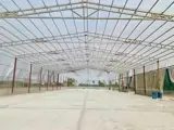 Cho Thuê Kho Xưởng Song Phương, Hoài Đức - Km12 Đại Lộ Thăng Long | Giá 65.000đ/m² - Ảnh 3