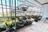 Nguyễn Tri Phương Hải Châu Oto Đậu Trước Nhà - ảnh 4