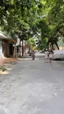 Bán Đất Phú Lương 50m2, Mặt Tiền 5m, Giá 9.5 Tỷ - Vị Trí Đắc Địa - Ảnh 2