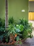 Đòng Garden: Homestay Hà Nội Yên Bình, Hiện Đại, Gần Lăng Bác - ảnh 2
