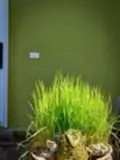 Đòng Garden: Homestay Hà Nội Yên Bình, Hiện Đại, Gần Lăng Bác - ảnh 7