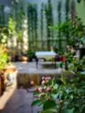 Đòng Garden: Homestay Hà Nội Yên Bình, Hiện Đại, Gần Lăng Bác - ảnh 24