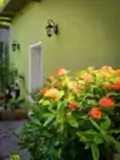 Đòng Garden: Homestay Hà Nội Yên Bình, Hiện Đại, Gần Lăng Bác - ảnh 20