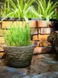Đòng Garden: Homestay Hà Nội Yên Bình, Hiện Đại, Gần Lăng Bác - ảnh 27
