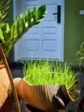 Đòng Garden: Homestay Hà Nội Yên Bình, Hiện Đại, Gần Lăng Bác - ảnh 18