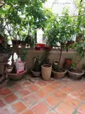 Cho Thuê Nhà 3 Tầng Phố Ngọc Hà, Ba Đình - Giá 15tr/Tháng - ảnh 6