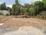 Đất nền Tân Thạnh Đông - Giá 415tr, SHR, Vị trí Đẹp - Ảnh 3