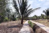 Cơ Hội Đầu Tư Độc Tôn: Đất Sổ Hồng 580M² - Ngay Cổng B Sân Bay Quốc Tế Long Thành Chỉ 4 Tỷ Đồng - Ảnh 2