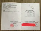 2 Lô Đất Tân Thạnh Tây Củ Chi - Vị Trí Đắc Địa, SHR, Giá 796tr - Ảnh 3