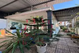 Hàng Thơm Hóc Môn – Mặt Tiền Nguyễn Văn Bứa – Giá Chỉ 13 Tỷ - Ảnh 3