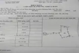 Chính Chủ Cần Bán Lô Đất 470 Tại Tiên Phương-Chương Mỹ-Hà Nội - Ảnh 5