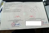Chính Chủ Cần Bán Lô Đất 50,7M Tại Phụng Châu-Chương Mỹ-Hà Nội - Ảnh 4