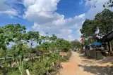 Chính Chủ Cần Bán Lô Đất 400M Nghỉ Dưỡng Tại Tiên Phương-Chương Mỹ-Hà Nội - Ảnh 2