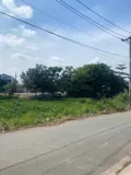 Bán Gấp Lô Đất 146.8m2, 4.2 Tỷ Tại Trần Hải Phụng, Bình Tân - Vị Trí Đắc Địa, Giá Tốt - Ảnh 1