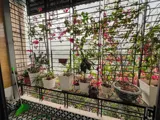 Mặt phố Bùi Xương Trạch - Kinh Doanh Đỉnh Cao, View Hồ - Giá 23 tỷ -  Ảnh 1