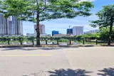 Bán Cc 197 Trần Phú, Hà Đông 90M, Lô Góc, Full Nội Thất, Khu Vực Sầm Uất 5.2 Tỷ - Ảnh 1