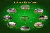 Chính Chủ Bán Lô Đất Đẹp 80M Tại Trường Yên-Chương Mỹ-Hà Nội - Ảnh 3