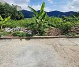 ✨Đất vuông đẹp Thạnh Xuân 47, Q12 - Hẻm xe tải, 100m2, SHR✨ - Ảnh 2