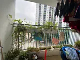 Chính Chủ Bán Căn Góc 77m2, Ban Công Đông Nam, Chung Cư Thanh Hà - Giá Tốt - Ảnh 5