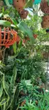 Cho Thuê Căn Hộ Biệt Thự 150m² Đội Cấn - Full Đồ, Giá Tốt - Ảnh 10