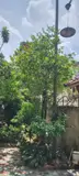 Cho Thuê Căn Hộ Biệt Thự 150m² Đội Cấn - Full Đồ, Giá Tốt - Ảnh 9