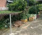 💥 Giảm 150tr! Đất Vuông Hẻm Xe Tải Thạnh Xuân 25, Q12 - 120m2, SHR - Ảnh 1