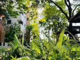 Bán Căn Hộ Mulberry Lane 2PN, 114m2, View Đẹp - Giá 7.4 Tỷ - Ảnh 2
