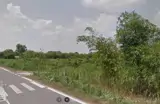 Bán Đất Mặt Tiền Đỗ Đăng Tuyển, An Nhơn Tây - Củ Chi - Vị Trí Đắc Địa - Ảnh 2