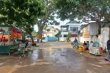 Lô Đất Đẹp Nhất Nhì 130,4M Tại Phụng Châu-Chương Mỹ-Hà Nội - Ảnh 3