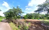 Bán Đất Nền Bình Phước 2.450m² - 200m² Thổ Cư - Giá Rẻ 250tr - Ảnh 2
