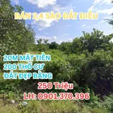 Bán Đất Nền Bình Phước 2.450m² - 200m² Thổ Cư - Giá Rẻ 250tr - Ảnh 1